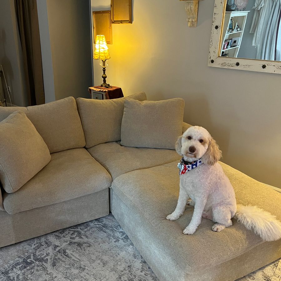 Customer sofa