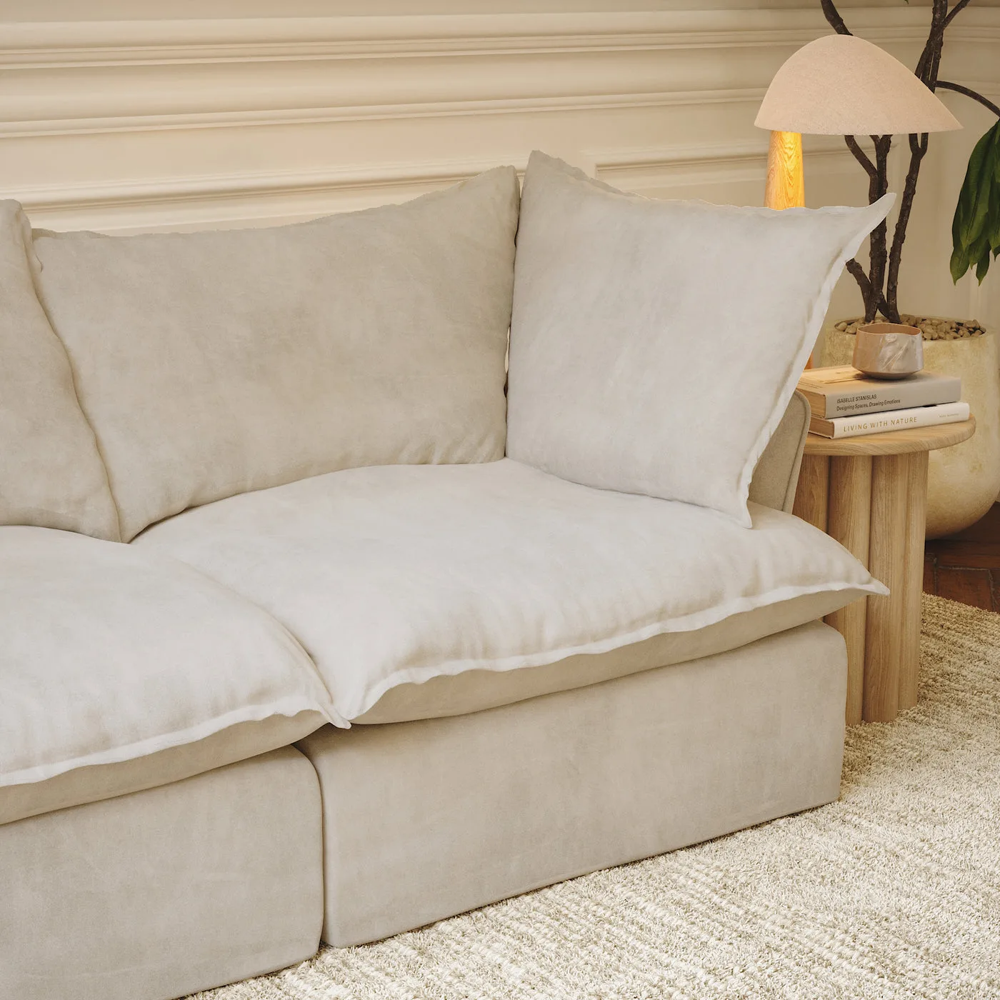 Modern luxury sofa